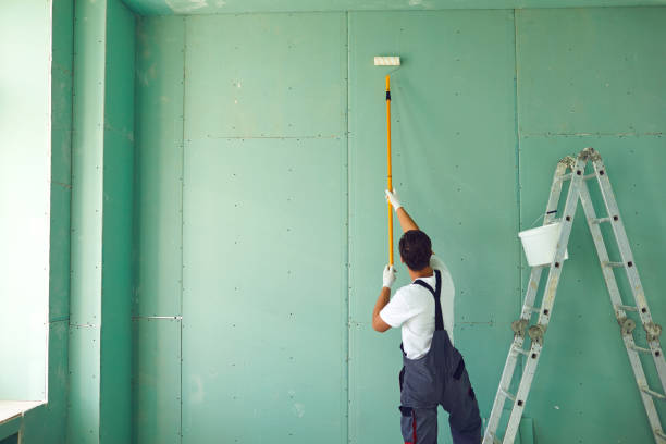 Best Mold Removal for HVAC Installations  in Tuscola, IL