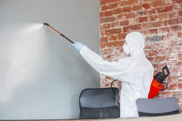 Best Biohazard Mold Removal  in Tuscola, IL