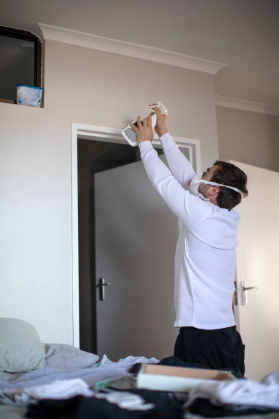 Best Water Damage & Mold Remediation  in Tuscola, IL