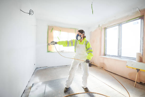 Best Asbestos and Lead Testing During Mold Inspection  in Tuscola, IL